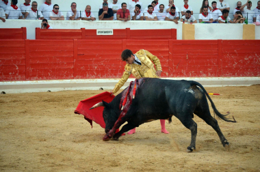 Fotos de la novillada y la cornada a Miguel Serrano en Peralta. /