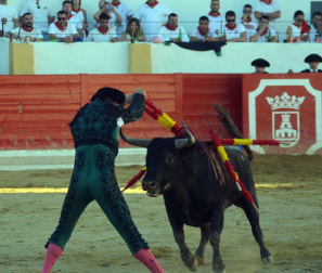 Fotos de la novillada y la cornada a Miguel Serrano en Peralta. /