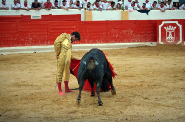 Fotos de la novillada y la cornada a Miguel Serrano en Peralta. /