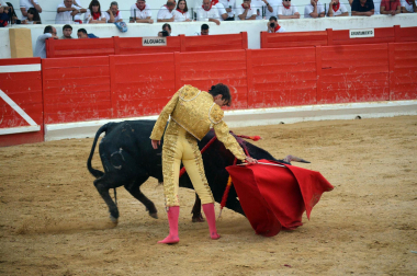 Fotos de la novillada y la cornada a Miguel Serrano en Peralta. /