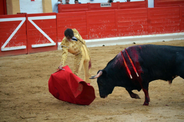 Fotos de la novillada y la cornada a Miguel Serrano en Peralta. /