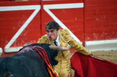 Fotos de la novillada y la cornada a Miguel Serrano en Peralta. /
