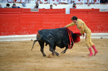 Fotos de la novillada y la cornada a Miguel Serrano en Peralta. /