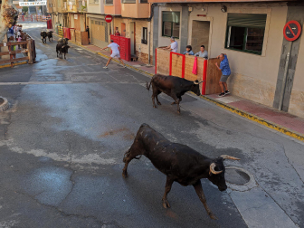 Fotos del tercer día de fiestas de Azagra.