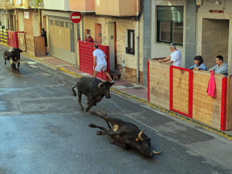 Fotos del tercer día de fiestas de Azagra.