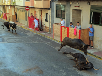 Fotos del tercer día de fiestas de Azagra.