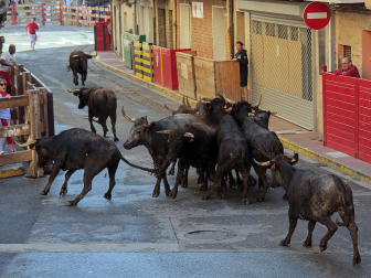 Fotos del tercer día de fiestas de Azagra.
