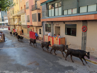 Fotos del tercer día de fiestas de Azagra.