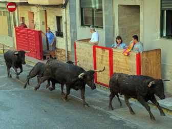 Fotos del tercer día de fiestas de Azagra.