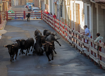 Fotos del tercer día de fiestas de Azagra.