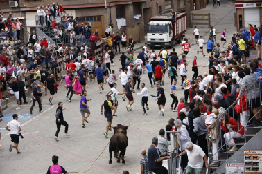 Fotos del primer toro ensogado de Lodosa./