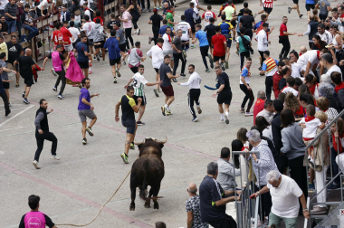 Fotos del primer toro ensogado de Lodosa./