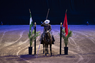 Fotos del ensayo de los caballos andaluces en el Navarra Arena
