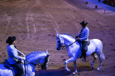 Fotos del ensayo de los caballos andaluces en el Navarra Arena