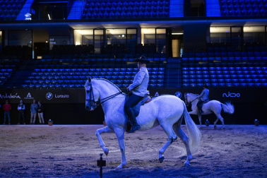 Fotos del ensayo de los caballos andaluces en el Navarra Arena