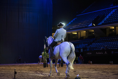 Fotos del ensayo de los caballos andaluces en el Navarra Arena