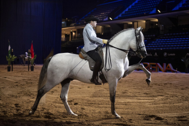 Fotos del ensayo de los caballos andaluces en el Navarra Arena