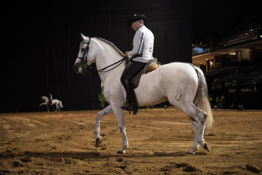 Fotos del ensayo de los caballos andaluces en el Navarra Arena