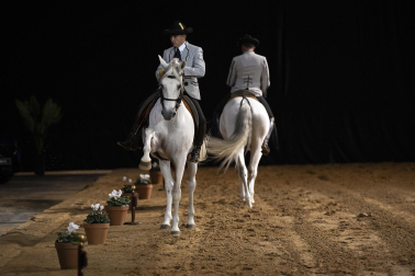 Fotos del ensayo de los caballos andaluces en el Navarra Arena