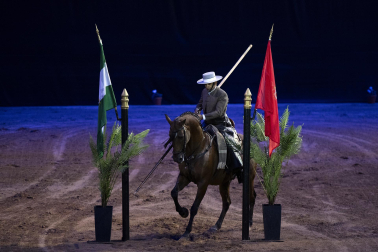 Fotos del ensayo de los caballos andaluces en el Navarra Arena