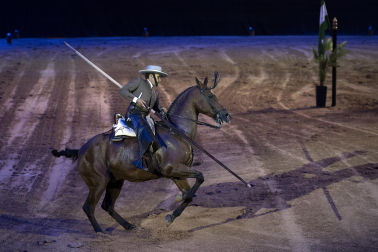Fotos del ensayo de los caballos andaluces en el Navarra Arena