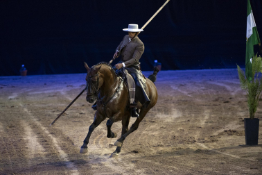 Fotos del ensayo de los caballos andaluces en el Navarra Arena