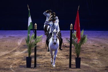 Fotos del ensayo de los caballos andaluces en el Navarra Arena