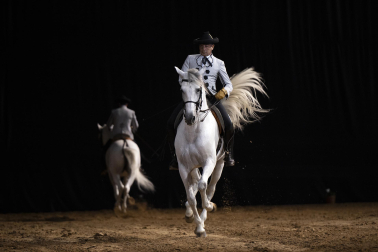 Fotos del ensayo de los caballos andaluces en el Navarra Arena
