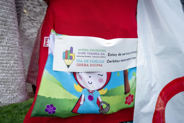 Fotos de la jornada de huelga en la educación pública en Navarra.