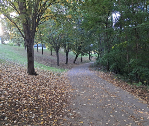 Otoño en la UPNA.