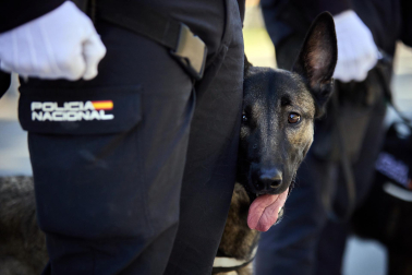 Fotos de la celebración de la festividad de la Policía Nacional en Navarra.