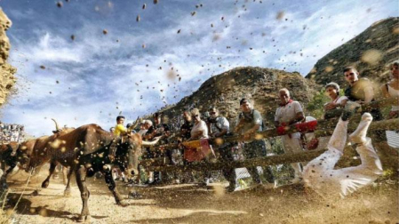 Fotografía de Jesús Diges del encierro del pilón de Falces premiada con el Teobaldo