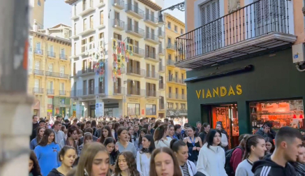 Cientos de estudiantes han marchado este viernes por la mañana desde la sede de Educación del Gobierno de Navarra hacia hasta la Delegación de Gobierno, en la plaza de Merindades. El Sindicato de Estudiantes ha convocado una jornada de huelga y  movilizaciones en toda España para denunciar la "incertidumbre" que tienen los alumnos por no conocer el modelo de examen de la nueva Prueba de Acceso a la Universidad (PAU).