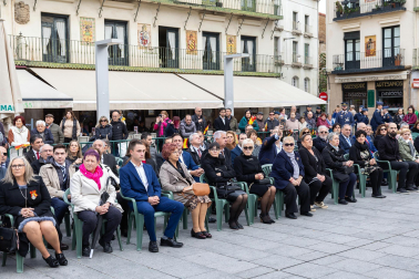 Fotos de la jura de bandera civil en el Día de Bardenas en Tudela