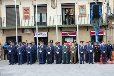 Fotos de la jura de bandera civil en el Día de Bardenas en Tudela