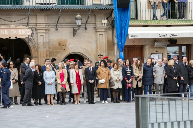 Fotos de la jura de bandera civil en el Día de Bardenas en Tudela