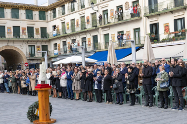 Fotos de la jura de bandera civil en el Día de Bardenas en Tudela