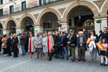 Fotos de la jura de bandera civil en el Día de Bardenas en Tudela