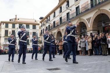 Fotos de la jura de bandera civil en el Día de Bardenas en Tudela