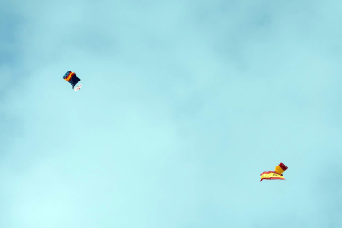 Fotos de la jura de bandera civil en el Día de Bardenas en Tudela