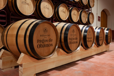 El Grupo familiar presenta una amplia gama de vinos tintos, rosados y blancos. Entre ellos, destaca Septentrion, el vino referencia de la Bodega.