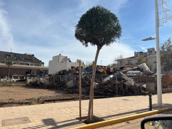 Imágenes de la localidad valenciana de Picaña donde el pamplonés Pablo Rodríguez realiza labores de voluntario tras el paso de la DANA /