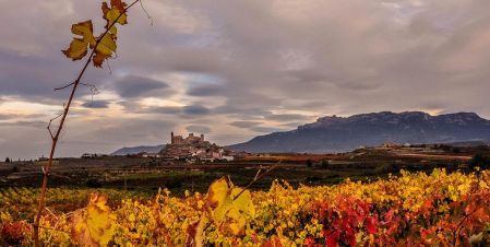 Con cerca de 20 bodegas y 30 km² de viñedos es uno de los municipios con más producción de vino por habitante de La Rioja