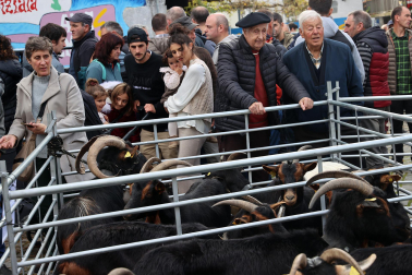 Fotos de la Feria ganadera y de producto local de Leitza y Areso.