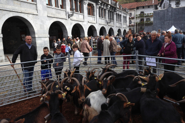 Fotos de la Feria ganadera y de producto local de Leitza y Areso.