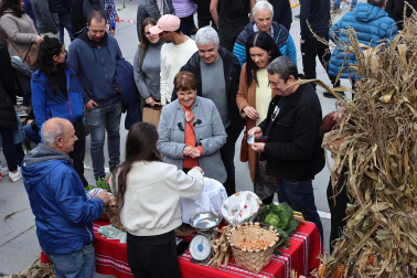 Fotos de la Feria ganadera y de producto local de Leitza y Areso.
