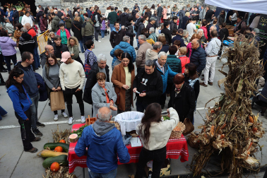 Fotos de la Feria ganadera y de producto local de Leitza y Areso.
