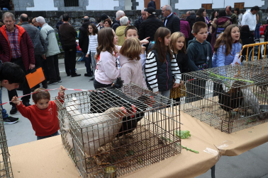 Fotos de la Feria ganadera y de producto local de Leitza y Areso.