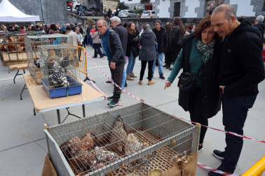 Fotos de la Feria ganadera y de producto local de Leitza y Areso.