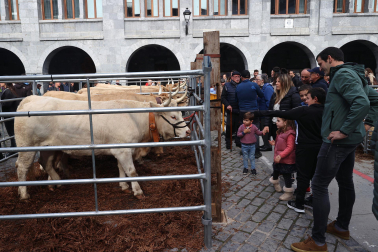Fotos de la Feria ganadera y de producto local de Leitza y Areso.